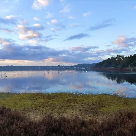 펜션 Dune Bianche *