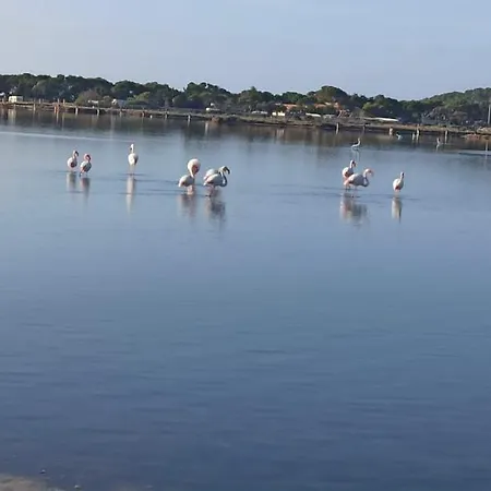 Dune Bianche 펜션 *