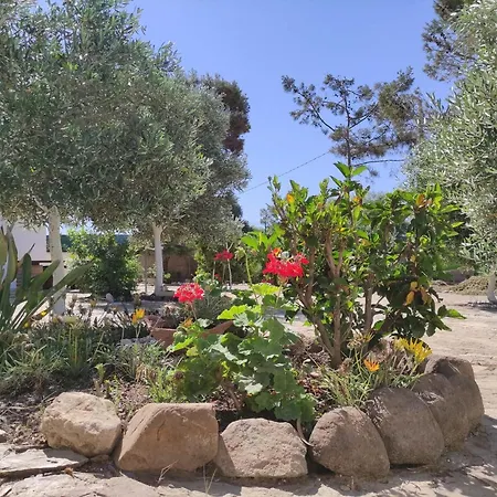 Dune Bianche * 포르토 피노