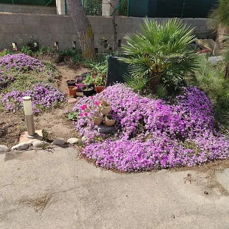 Dune Bianche * 皮诺港