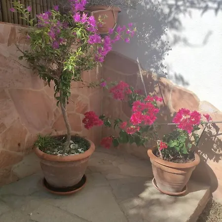 Casa de Férias Dune Bianche Porto Pino