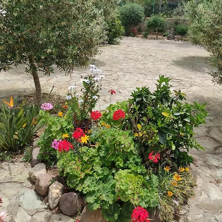 Dune Bianche Tatil Evi Porto Pino