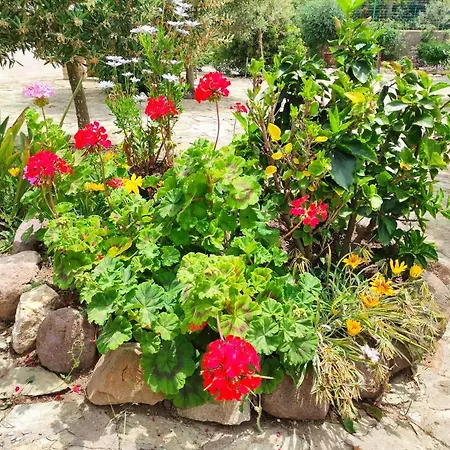 Dune Bianche 포르토 피노