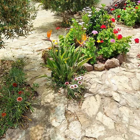 Dune Bianche * 포르토 피노