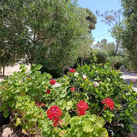 Tatil Evi Dune Bianche *