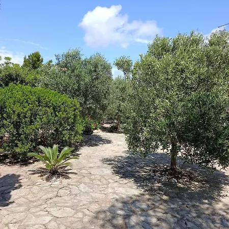 Dune Bianche Tatil Evi Porto Pino