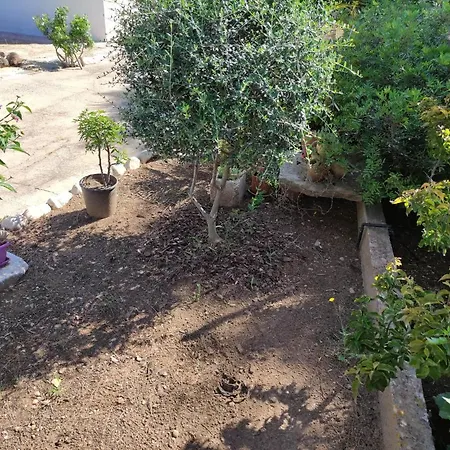 Prázdninový dům Dune Bianche