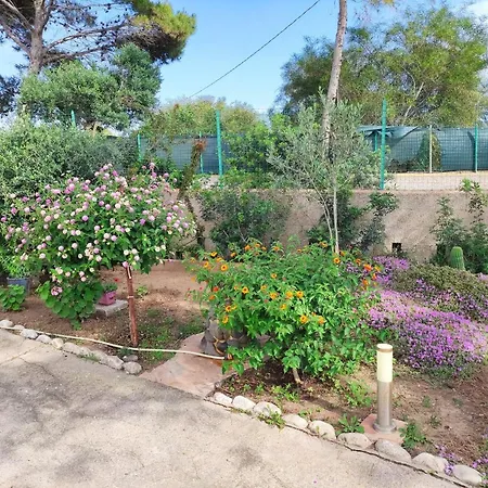 Prázdninový dům Dune Bianche *